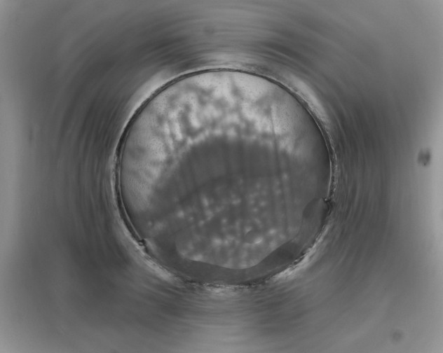 X0000097670899200803142152