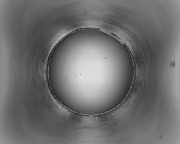 X0000097670901200803142152