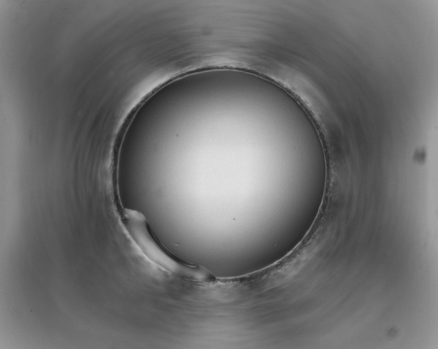 X0000097670902200803142152