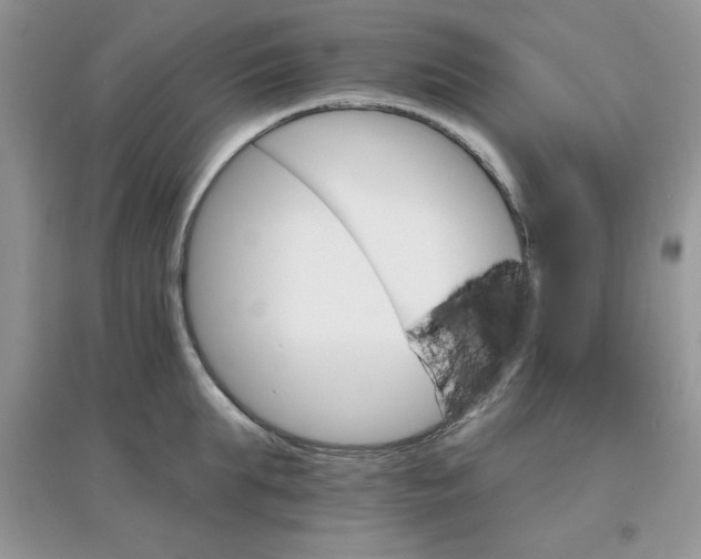 X0000097670903200803142152