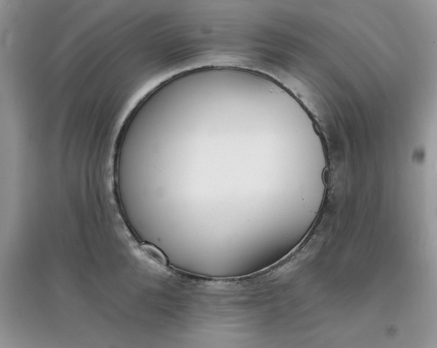 X0000097670904200803142152