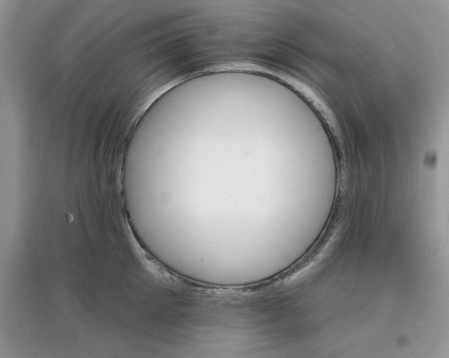 X0000097670905200803142152