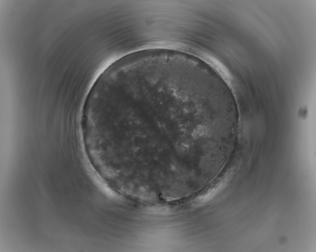 X0000097670907200803142152