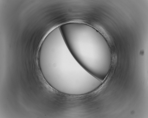 X0000097670908200803142152