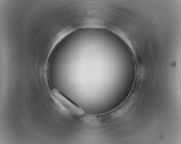 X0000097670909200803142152