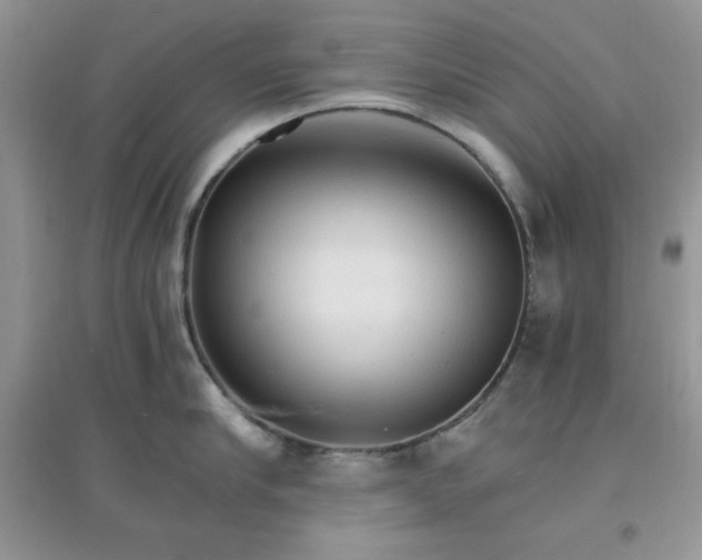 X0000097670910200803142152