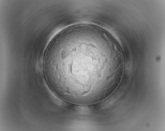 X0000097670911200803142152