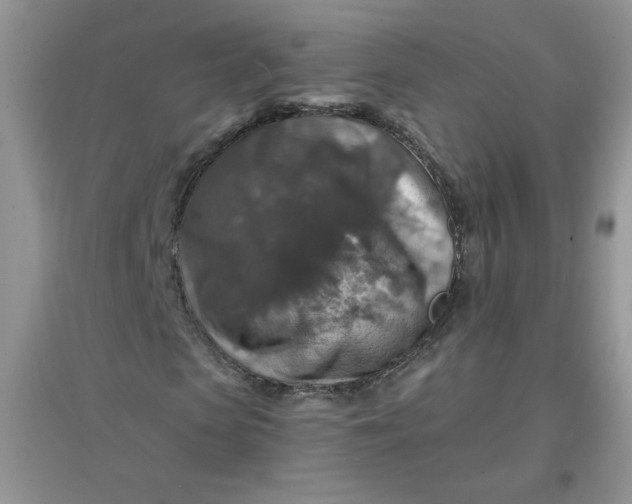 X0000097670913200803142151
