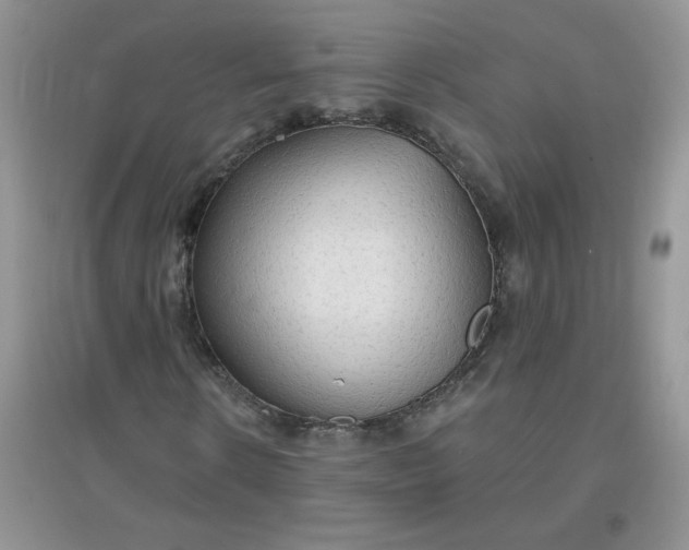X0000097670914200803142151