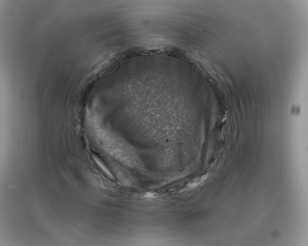 X0000097670916200803142151
