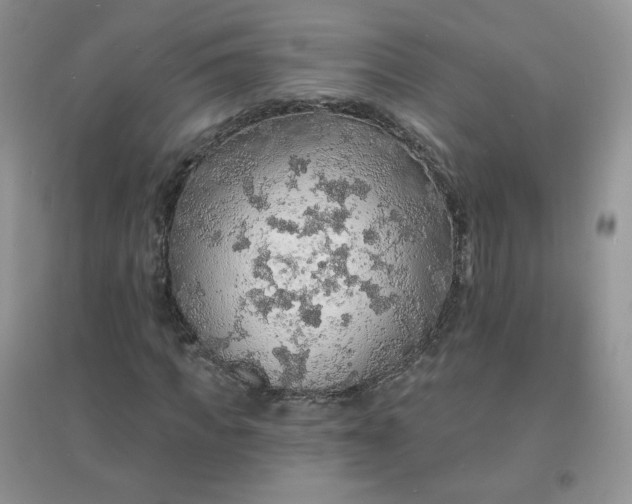 X0000097670917200803142151