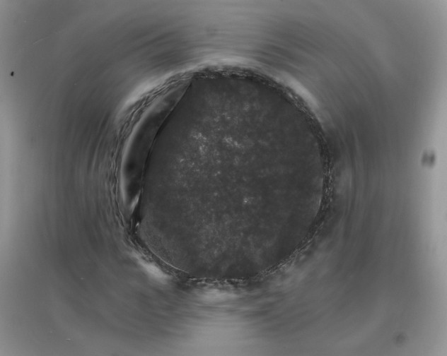 X0000097670919200803142151