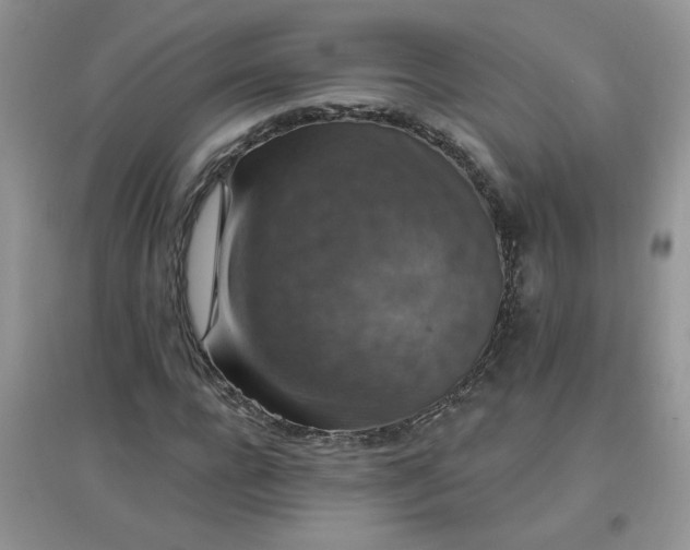 X0000097670920200803142151