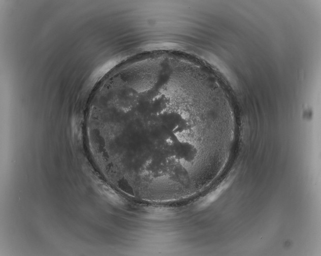 X0000097670921200803142151