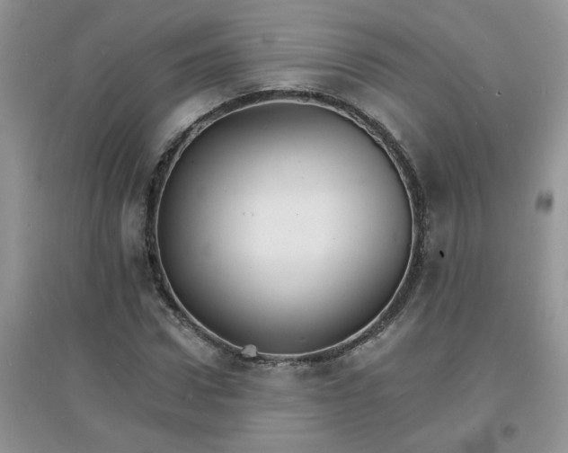 X0000097670922200803142151