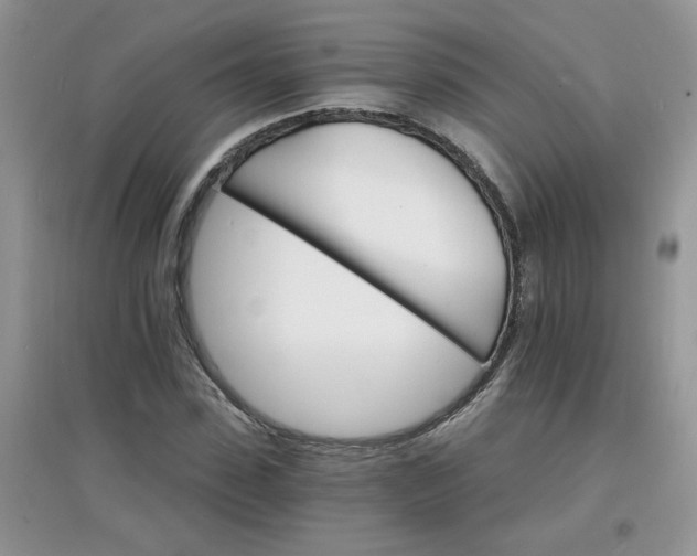 X0000097670923200803142151