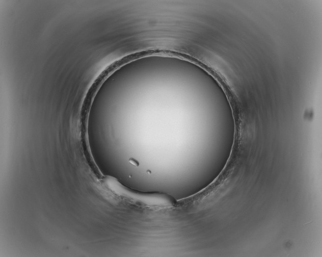 X0000097670924200803142151