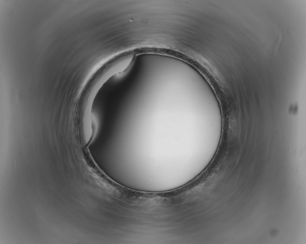 X0000097670926200803142151