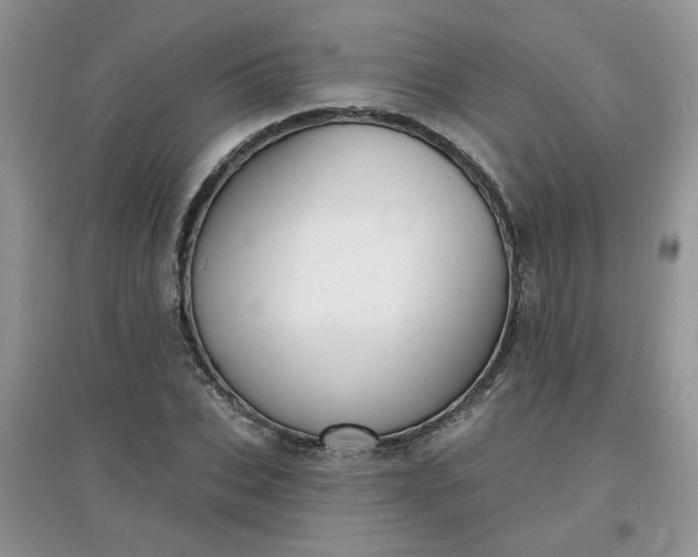 X0000097670927200803142151