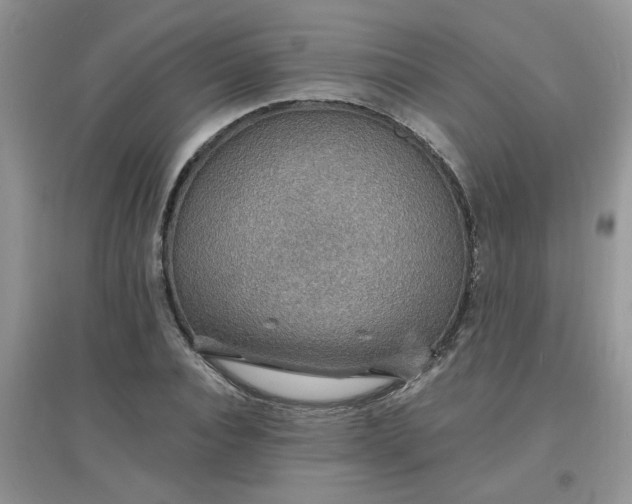 X0000097670928200803142151
