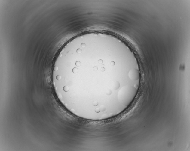 X0000097670929200803142151