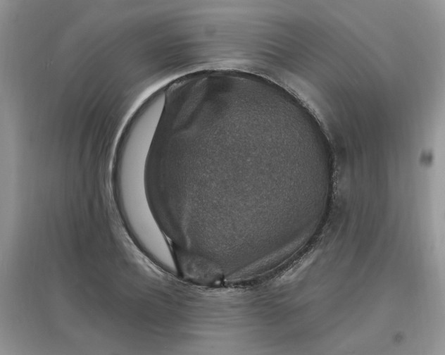 X0000097670932200803142151