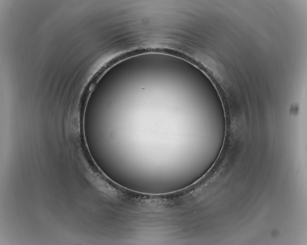 X0000097670934200803142151