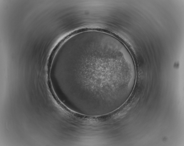 X0000097670935200803142151
