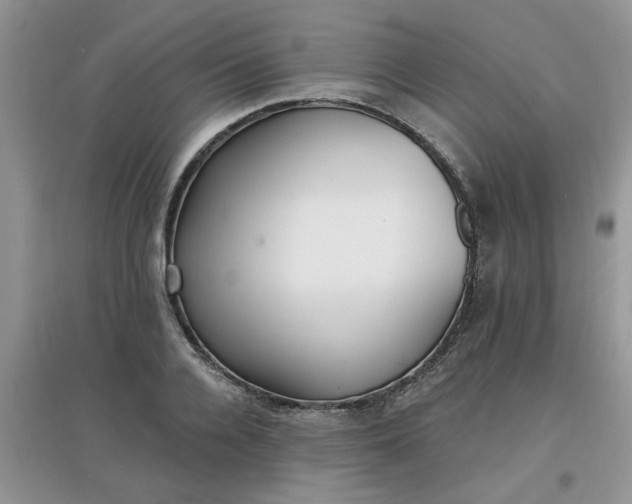 X0000097670936200803142151
