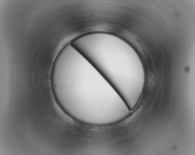 X0000097670938200803142151