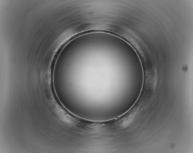 X0000097670939200803142151