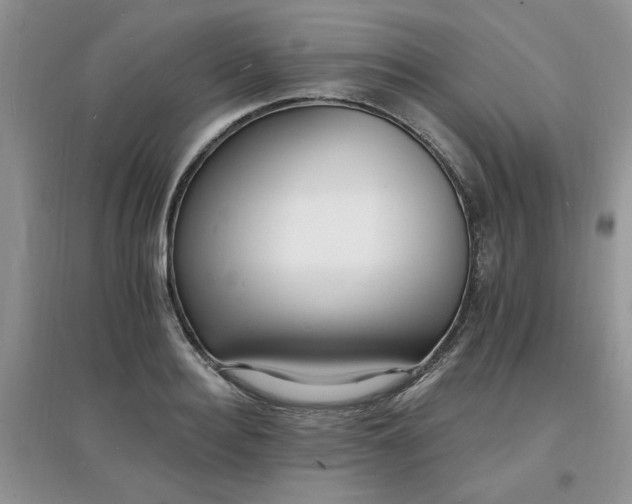 X0000097670940200803142151