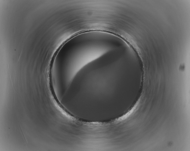 X0000097670941200803142151