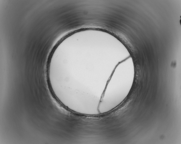 X0000097670942200803142151