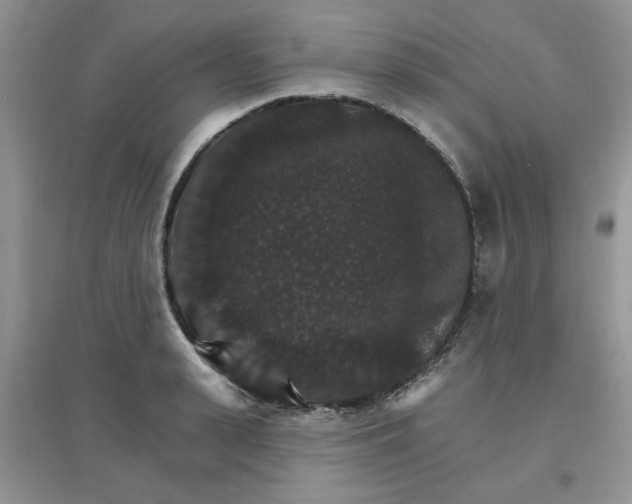 X0000097670943200803142151