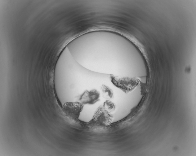 X0000097670945200803142151