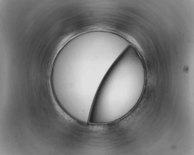 X0000097670946200803142151