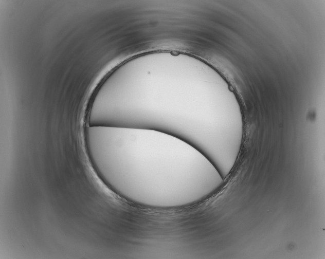 X0000097670947200803142151