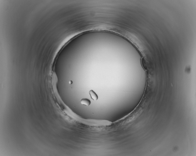 X0000097670948200803142151