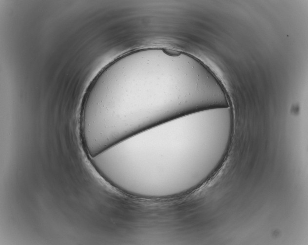 X0000097670949200803142151