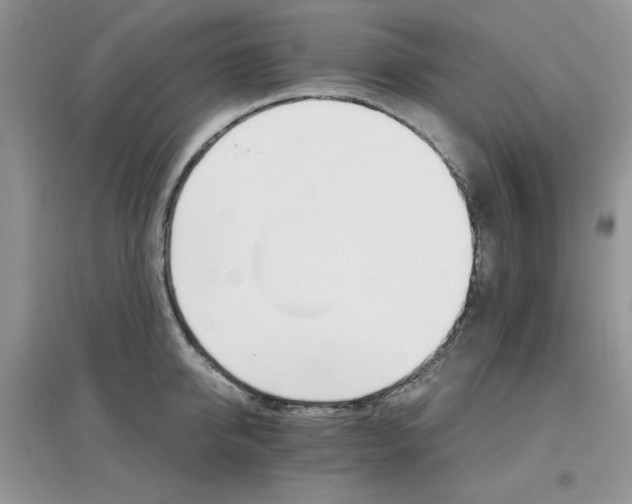 X0000097670950200803142151