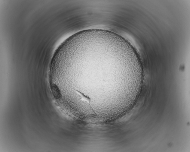 X0000097670952200803142151