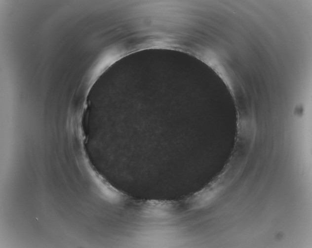 X0000097670954200803142151