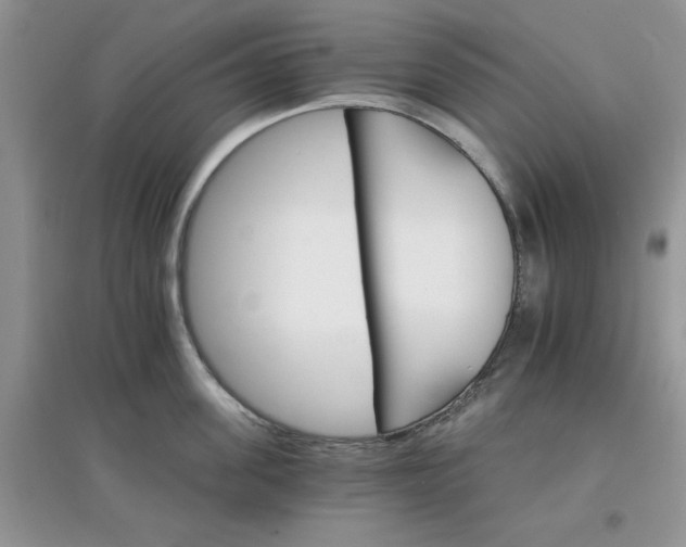 X0000097670955200803142151
