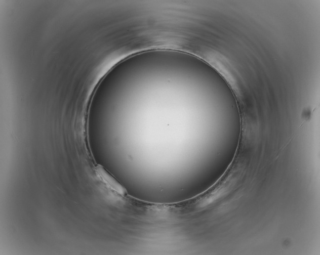 X0000097670956200803142151