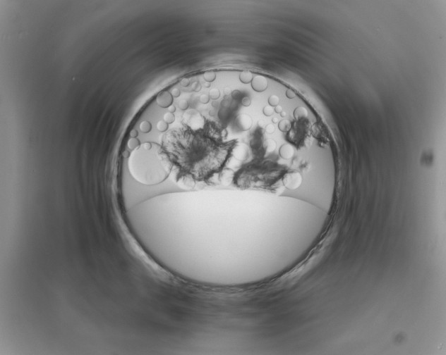 X0000097670957200803142151