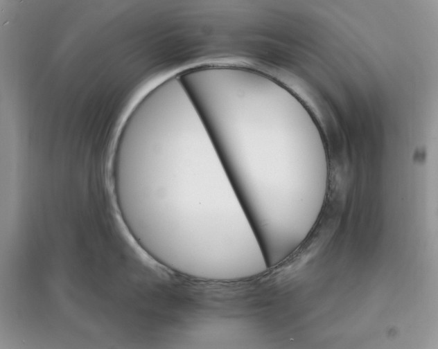 X0000097670959200803142151