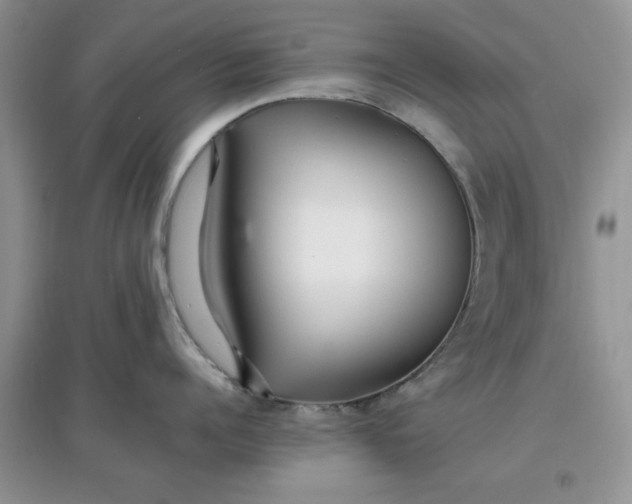 X0000097670960200803142151
