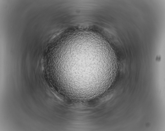 X0000097670962200803142151