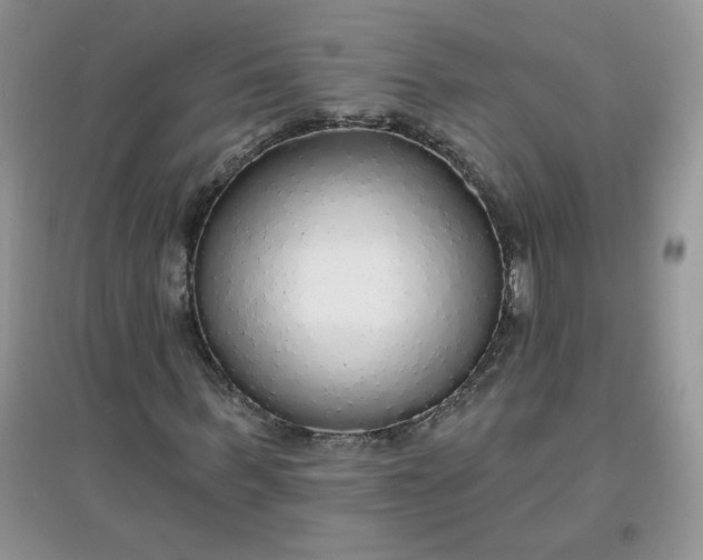 X0000097670963200803142151